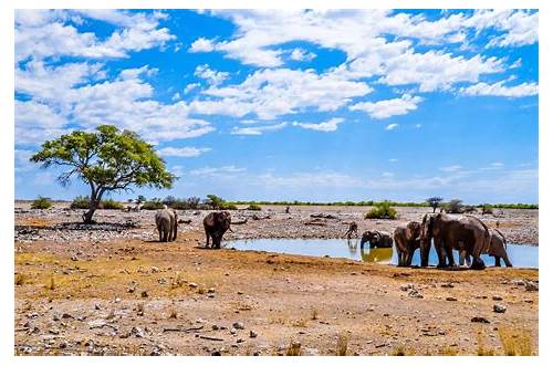 Etosha National Park
