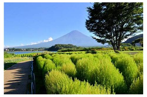 Fujikawaguchiko-machi