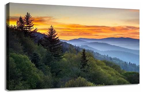 Great Smoky Mountains National Park