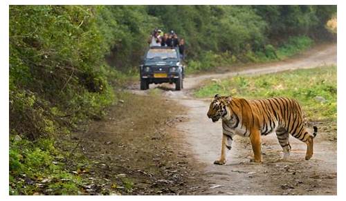 Jim Corbett National Park