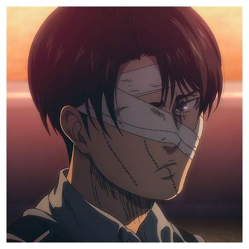 Levi