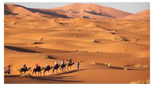 Morocco Sahara