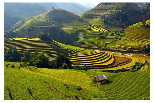 Mu Cang Chai