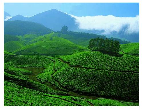 Munnar