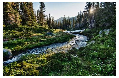 Olympic National Park