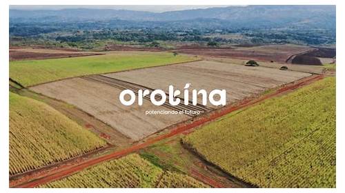 Orotina