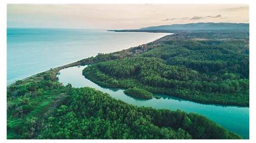 Osa Peninsula & Gulfo Dulce