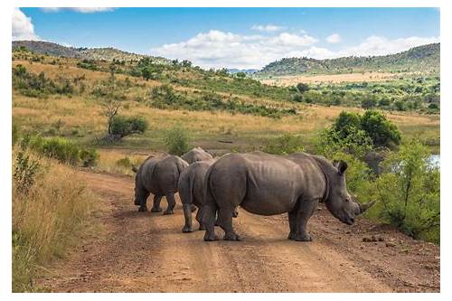 Pilanesberg National Park