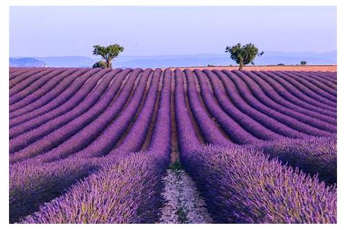 Provence
