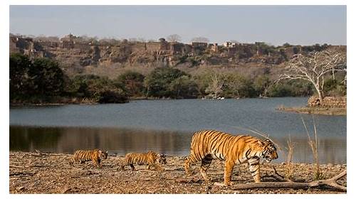 Ranthambore National Park