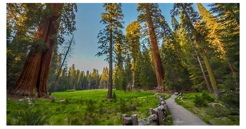 Sequoia and Kings Canyon National Park