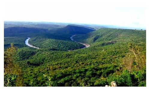 Shimba Hills National Reserve