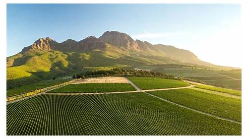 Stellenbosch