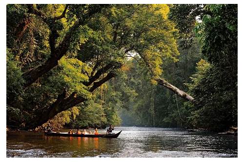 Taman Negara National Park