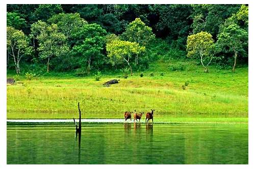 Thekkady