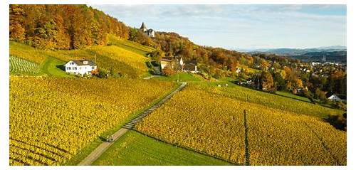 Thurgau