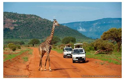 Tsavo National Park East