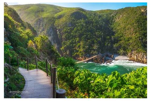 Tsitsikamma National Park