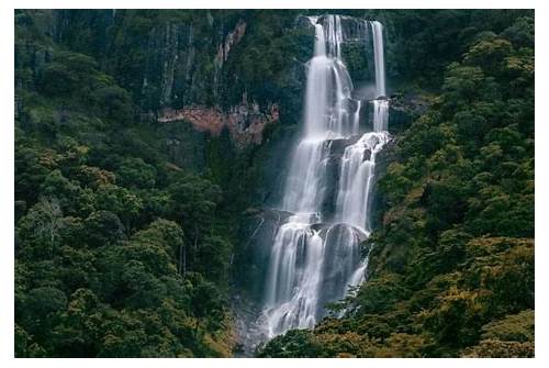 Udzungwa Mountains National Park
