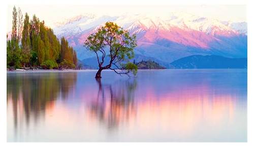Wanaka