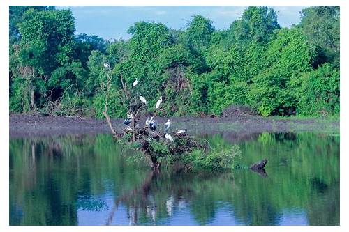 Wasgamuwa National Park