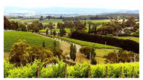 Yarra Valley