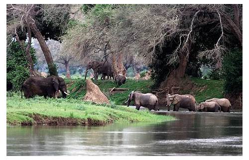 Zambezi National Park